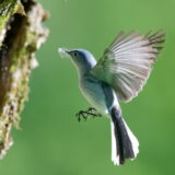 After a personal loss…